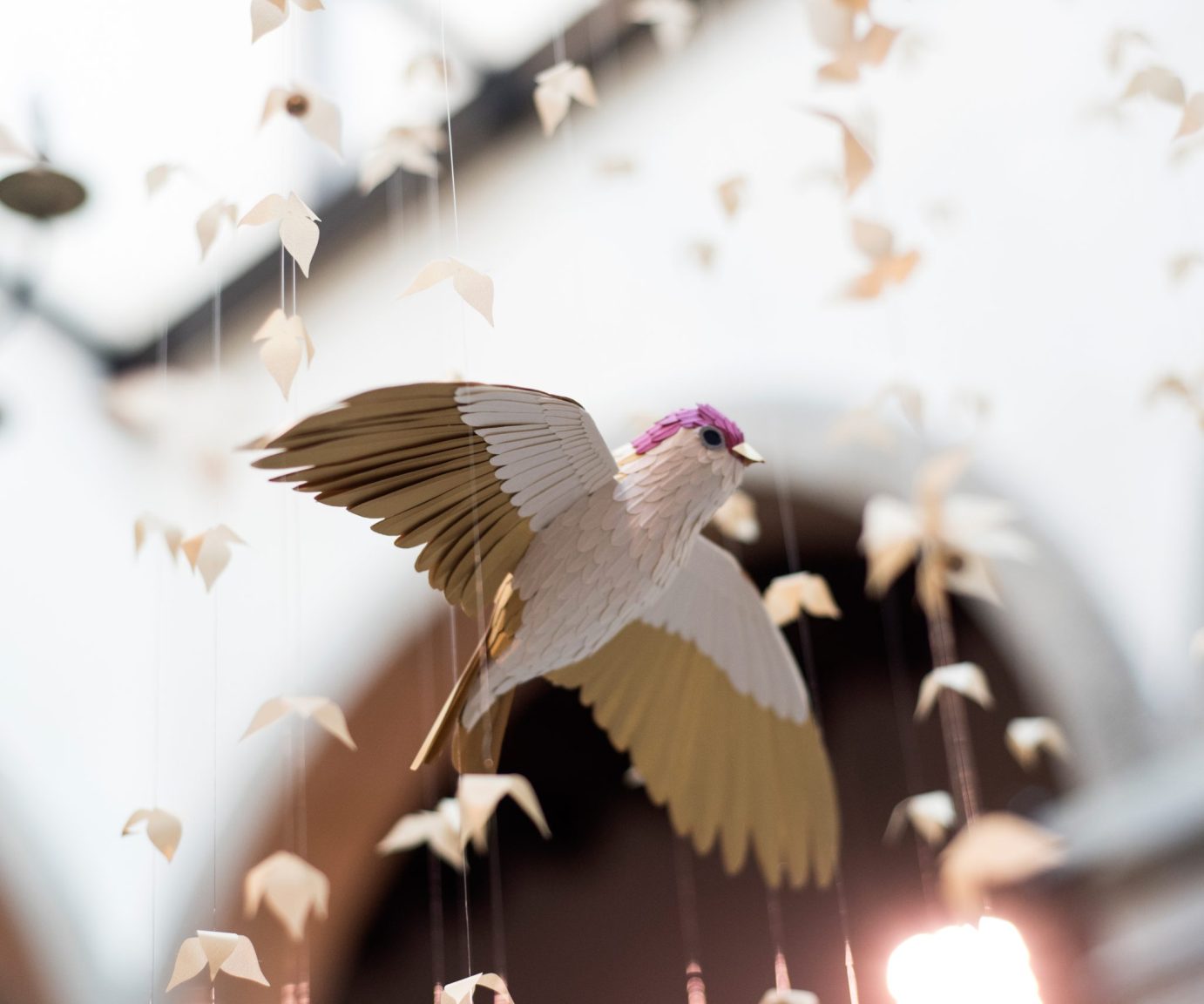 Pratic_Bird_Installation-2